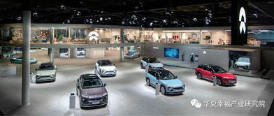 產業觀察丨從產品陣容看中國電動汽車企業后補貼時代的應對策略